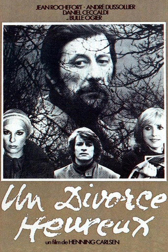 A Happy Divorce movie poster