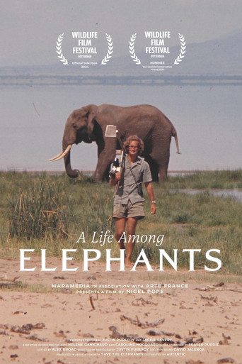 A Life Among Elephants movie poster