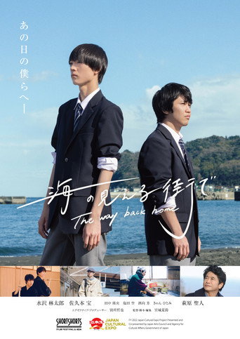 The way back home movie poster