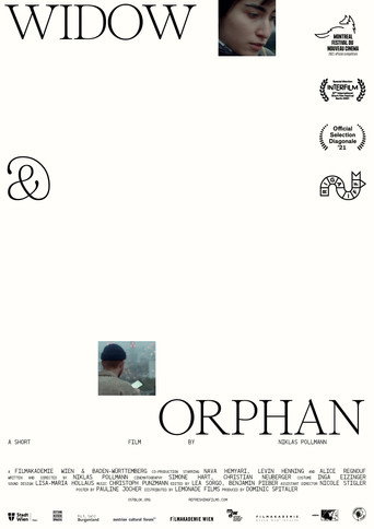 Widow & Orphan movie poster