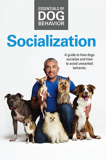 Essentials of Dog Behavior: Socialization movie poster