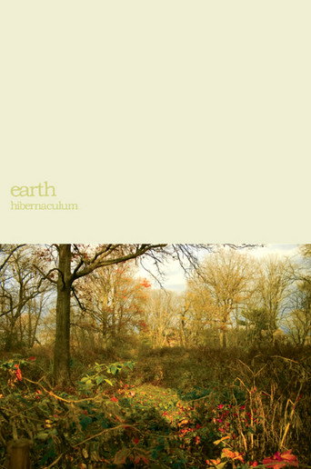 Earth: Within the Drone movie poster