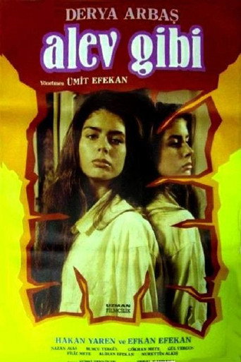 Alev Gibi movie poster
