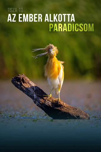 A Man-Made Paradise movie poster
