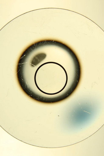 Fok Nabo Distorio movie poster