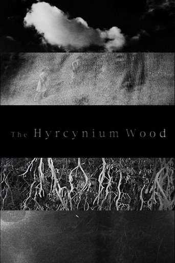 The Hyrcynium Wood movie poster