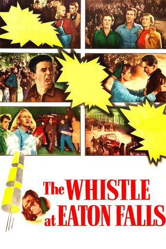 The Whistle at Eaton Falls movie poster