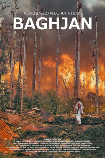 Baghjan movie poster