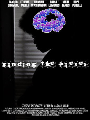 Finding The Pieces movie poster