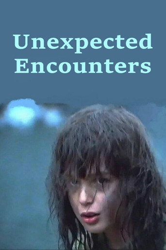 Unexpected Encounters movie poster