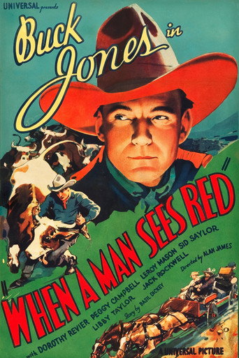When a Man Sees Red movie poster