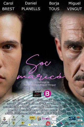 Sóc maricó movie poster