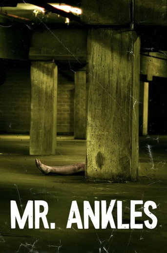 Mr. Ankles movie poster