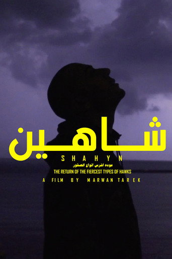 SHAHYN - THE RETURN OF THE FIERCEST TYPES OF HAWKS movie poster