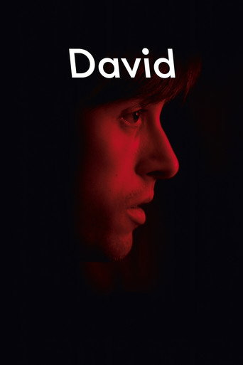 David movie poster