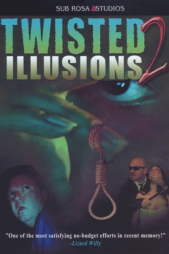 Twisted Illusions 2 movie poster