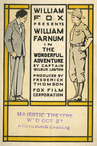 The Wonderful Adventure movie poster