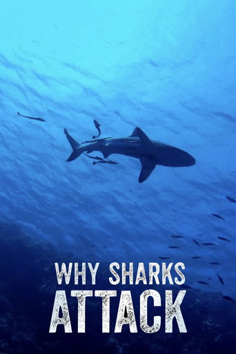 Why Sharks Attack movie poster