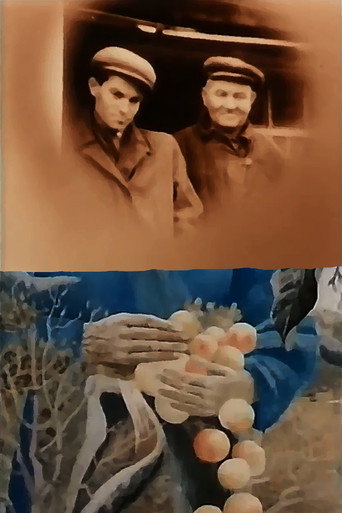 In the White Cold, the Sun of Ukraine movie poster