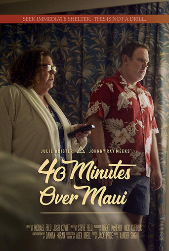 40 Minutes Over Maui movie poster