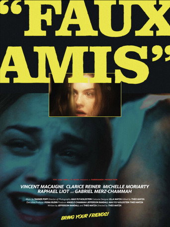 Faux Amis movie poster