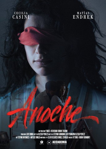 Anoche movie poster