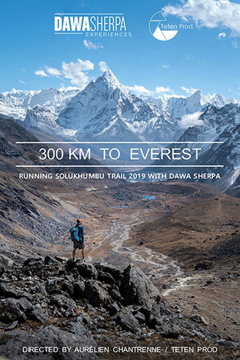300 KM TO EVEREST movie poster