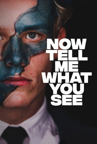 Now Tell Me What You See movie poster