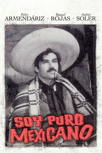 I'm a Real Mexican movie poster