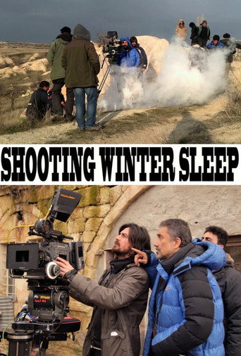A Long Cold Winter movie poster