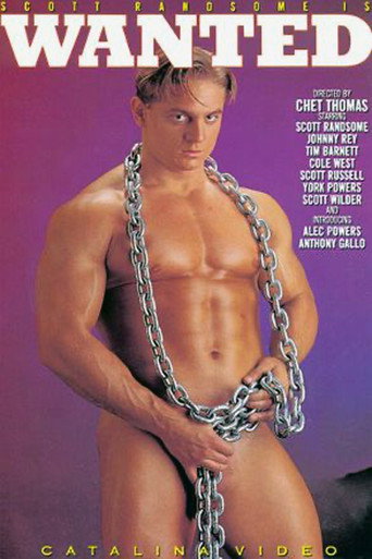 Wanted movie poster