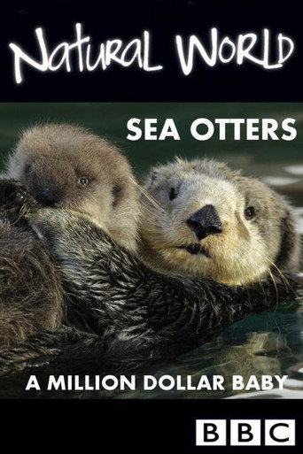 Sea Otters: A Million Dollar Baby movie poster