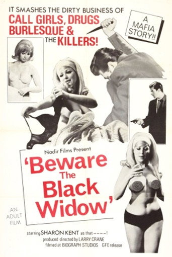 Beware the Black Widow movie poster