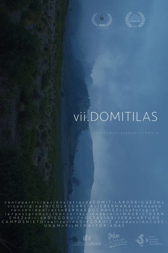 VII Domitilas movie poster