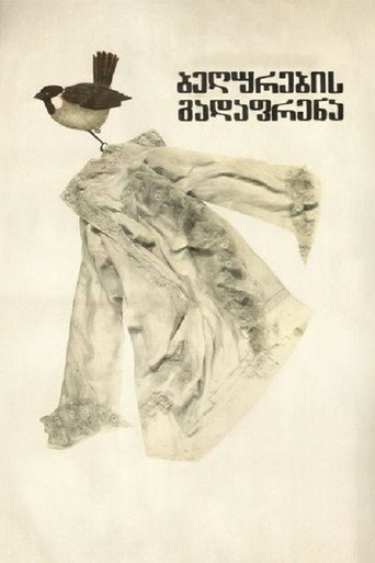 Migrating Sparrows movie poster
