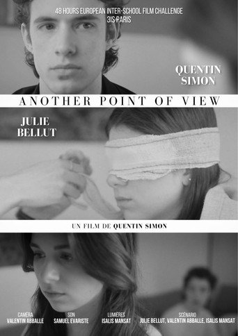 Another Point Of View movie poster