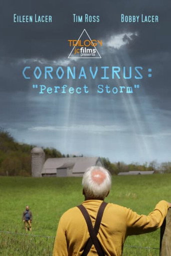 Coronavirus: Perfect Storm movie poster