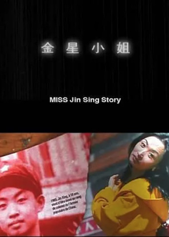 Miss Jin Sing Story movie poster