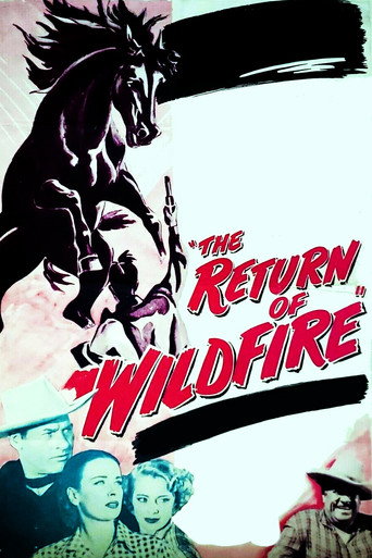 The Return of Wildfire movie poster