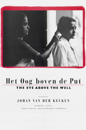 The Eye Above the Well movie poster