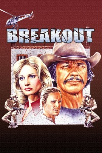 Breakout movie poster