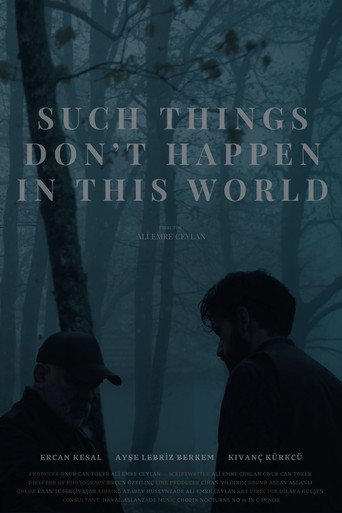 Such Things Don’t Happen in This World movie poster