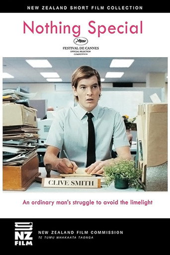 Nothing Special movie poster