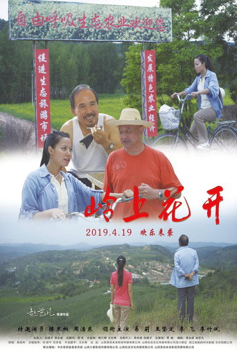 岭上花开 movie poster
