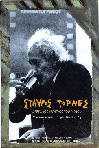 Stavros Tornes: The Poor Hunter of the South movie poster