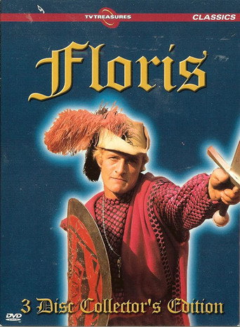 Rond Floris movie poster