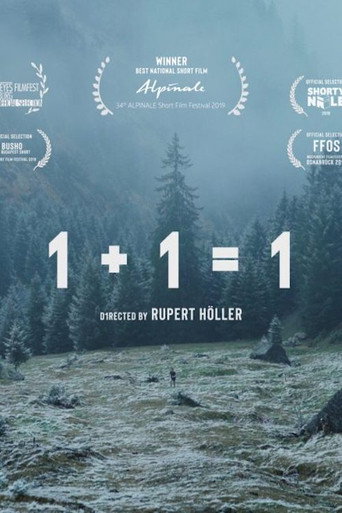 1+1=1 movie poster