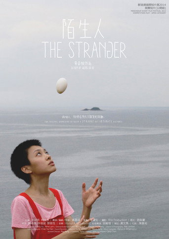 The Stranger movie poster