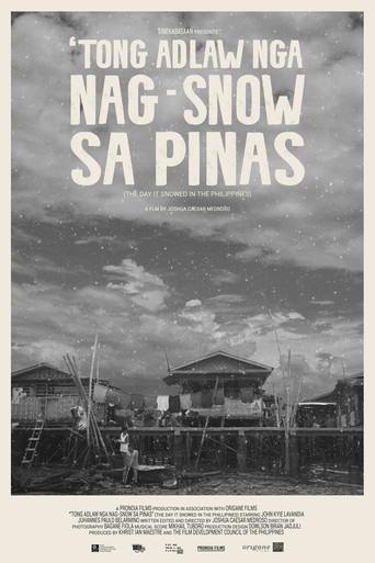 The Day It Snowed in the Philippines movie poster