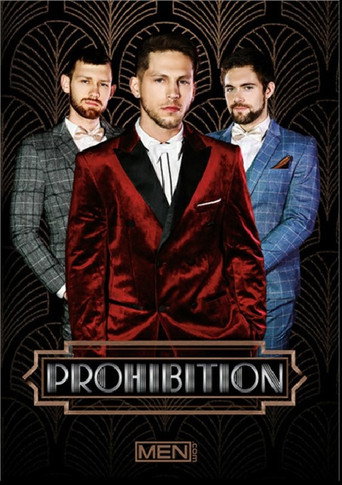 Prohibition movie poster